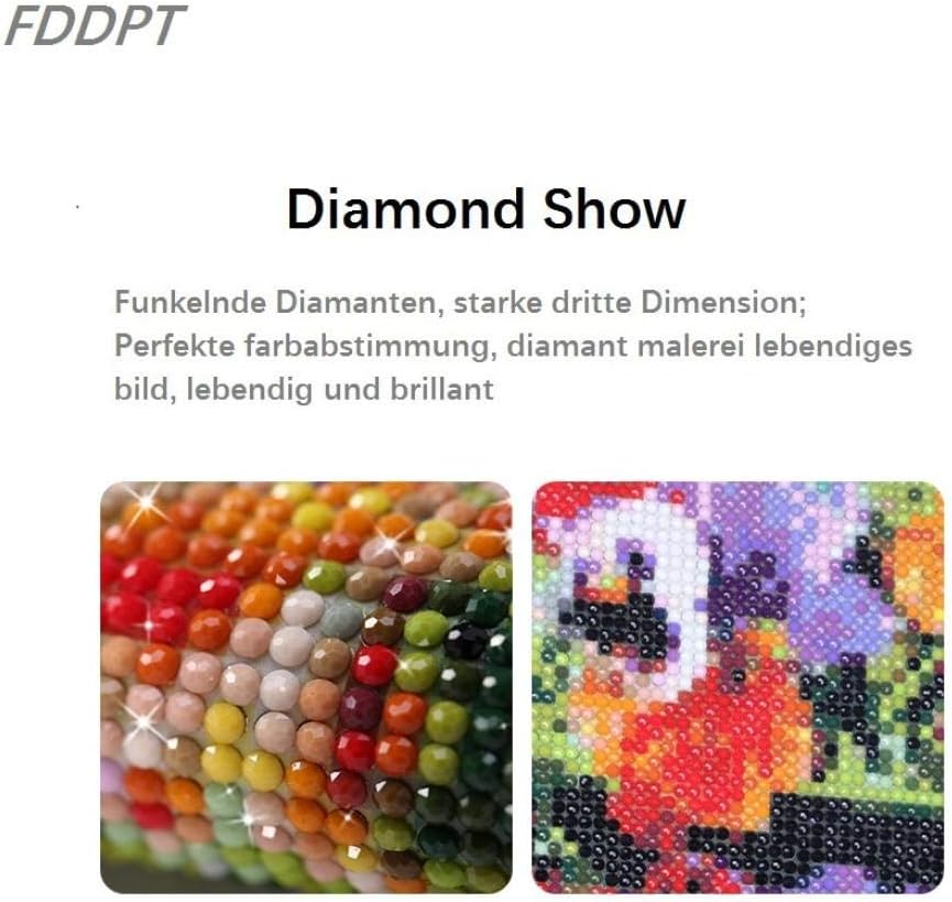 Kits Estampados 5d Diamond Pintura De Diamantes Colibri Adultos Diy Diamond Painting Kit De Punto De Cruz Bordado Diamante Arte Ninos Principiantes Regalo Decoracion Del Hogar 30x40cm Hogar Y Cocina Fullcirclefibres Com