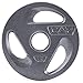 CAP Barbell 2-Inch Olympic Grip Weight Plates, Single, Gray, Various Sizes, 5 lb