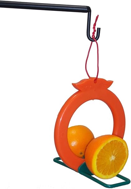 Amazon Com Songbird Essentials Two Sided Double Orange Fruit