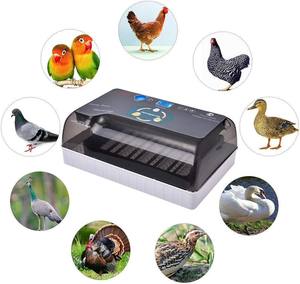 PILIBEIBEI Egg Incubator, High-efficiency Led Lighting And Automatic Egg Turning Function Suitable for Home Use Hatching Chickens Ducks Birds Turkeys Eggs