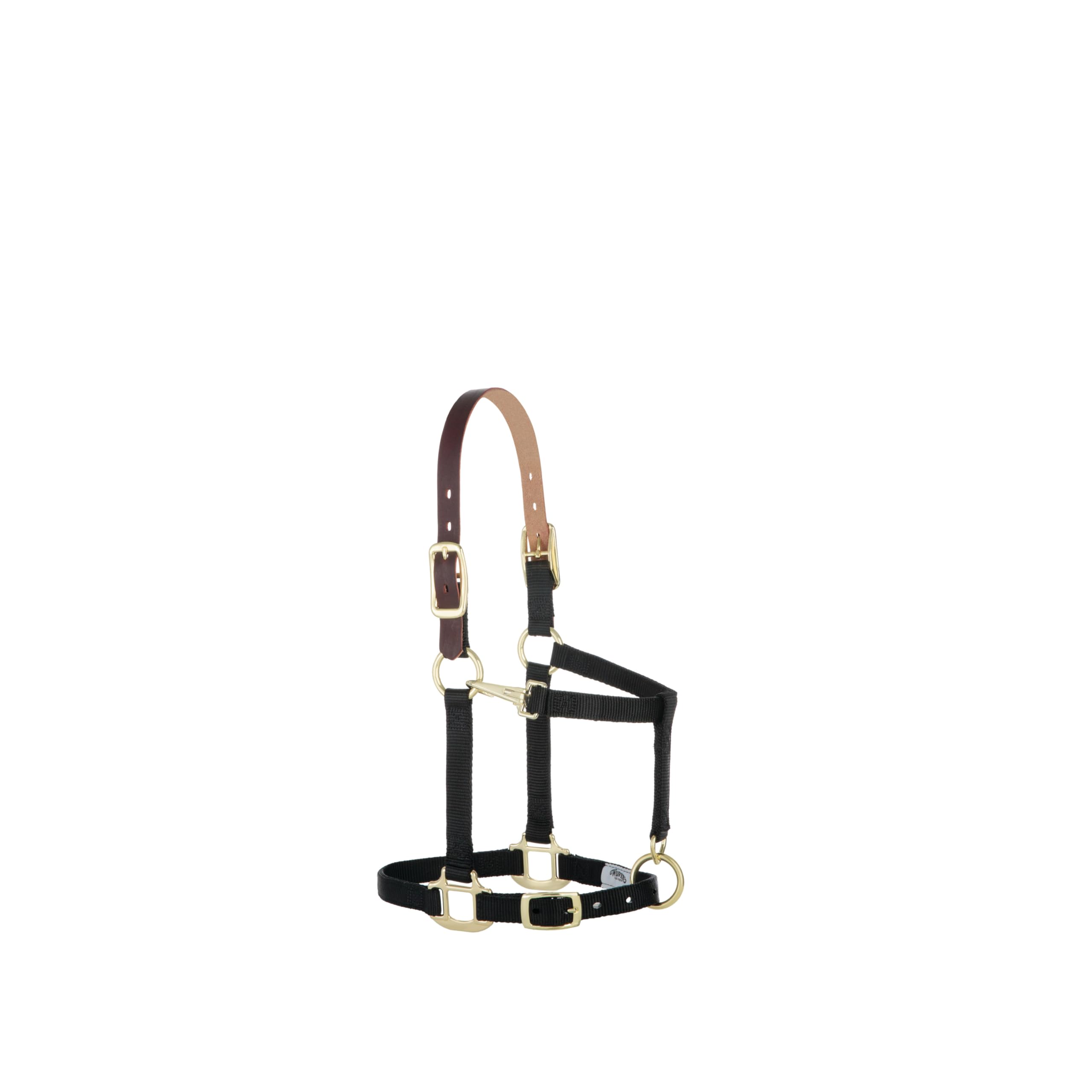 Weaver Leather Nylon Adjustable Breakaway Horse Halter, Small, Black — image 1