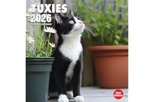 Tuxies 2026 Calendar: Playful tuxedo-patterned cats caught in candid moments