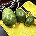 Set of 3 Natural Green Jade Egg,MUIIGOOD Yoni Egg,Kegel Balls,Massage Stones for Kegel Exercise Pelvic Floor Muscles Vaginal Exercise Health Care Ben Wa Balls for Women Gift