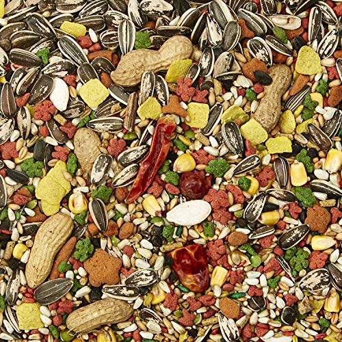 Kaytee Forti-Diet Pro Health Feather Health Parrot Food, Special Ecommerce Pack, 8 lb