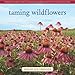 Taming Wildflowers: Bringing the Beauty and Splendor of Nature's Blooms into Your Own Backyard