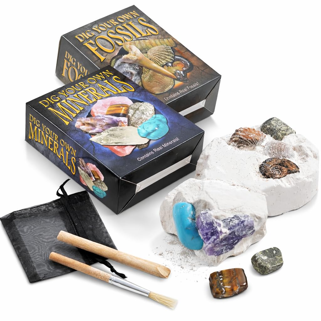 Dig Your Own Rock, Mineral & Fossil Kit – 2 Pack Excavation Kits with Real Fossils & Gemstones, STEM Science Activity Set