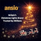 ANSIO Christmas Lights 100 LED 10m Cool White Mains Powered IP44 view 2