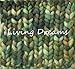 Living Dreams SUPER ZIPPY Hand Dyed Extra Bulky Wool Roving Yarn for Knitting Crochet Weaving & Boho Wall Art. Made in USA. Undine