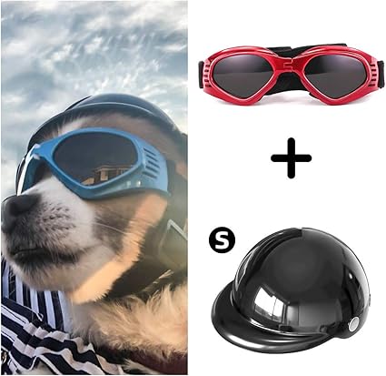 pet goggles motorcycle
