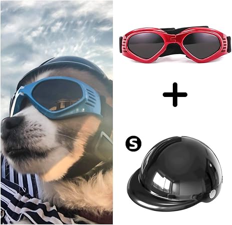 dog motorcycle goggles