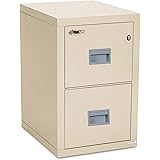 Amazon Com Fireproof 2 Drawer Vertical File Finish Parchment Vertical File Cabinets Office Products
