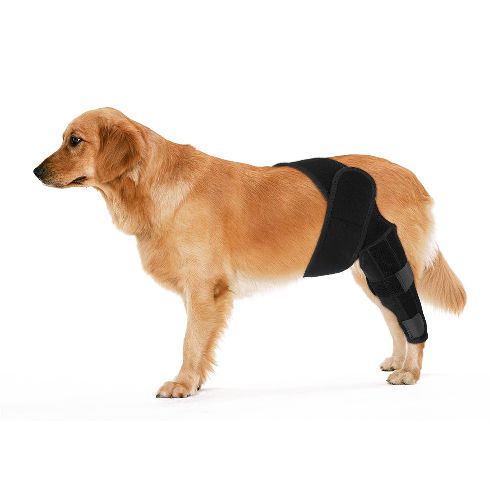 KINBOM Dog Rear Leg Braces, Dog Leg Braces for Back Leg Dog ACL Brace Hind Leg Dog Knee Brace for Dog ACL Brace Hind Leg (Black, Size L)