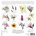 Flower Spirits 2016 Wall Calendar