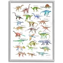 Amazon.com: Stupell Industries Carta de dinosaurios para niños ...