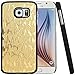 Samsung Galaxy S6 Case, Iwotou Hard Back Case Cover for Samsung Galaxy S6 with Multiple Colors (Gold)