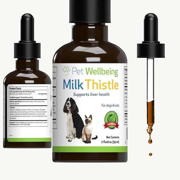 betadine petsmart