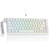 SEUNKWANG F68 Gaming Keyboard, Portable 60% Compact Mini Keyboard with 68 Round PBT Keycaps, Wired RGB Backlit Mechanical Feel Keyboard for PC Laptop Windows Gamer, White