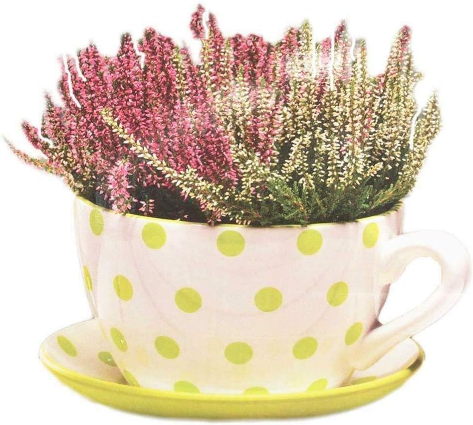 Giant Ceramic Vintage Tea Cup Saucer Planter Plant Pot Holder Garden
