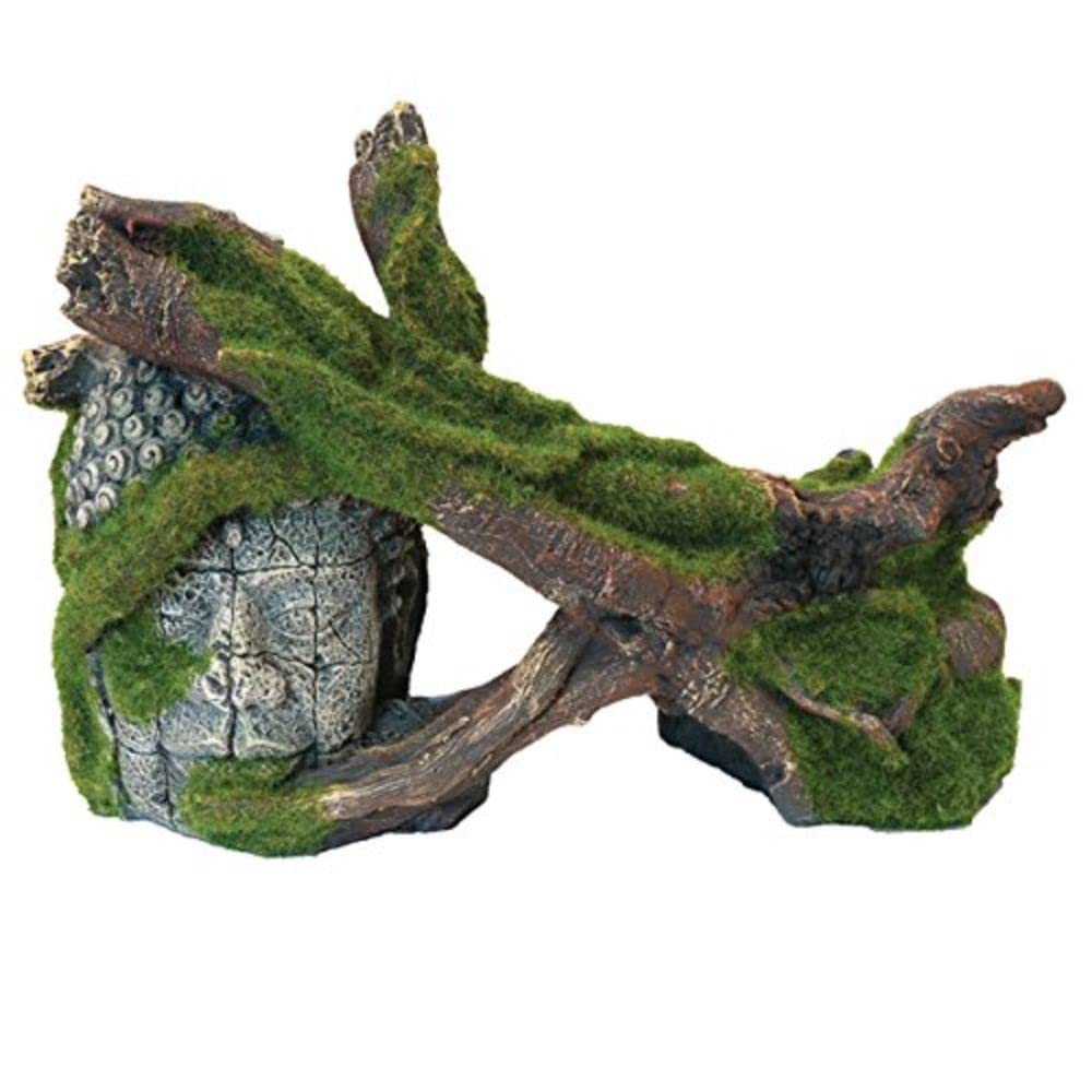 Blue Ribbon MOSS COVERED TREES & RUIN