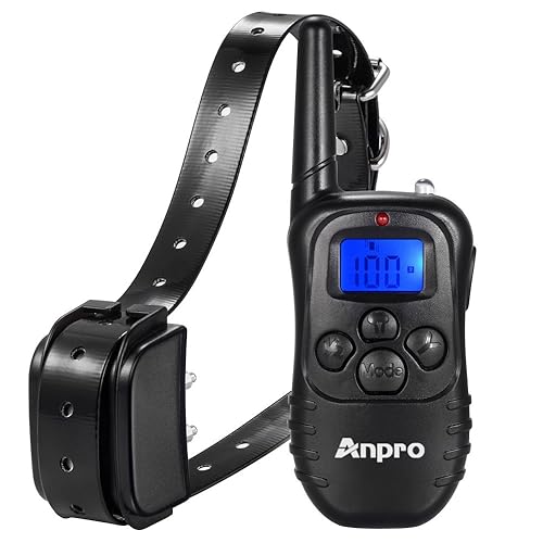 Shock Collar Reviews 5 Best Shock Collars For Stubborn Dogs