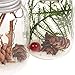 Juvale 6 Pack Clear Glass Rustic Christmas Tree Ornaments, Hanging Mason Jar Holiday Decorations, 6 Designs (1.5 x 2.6 in)