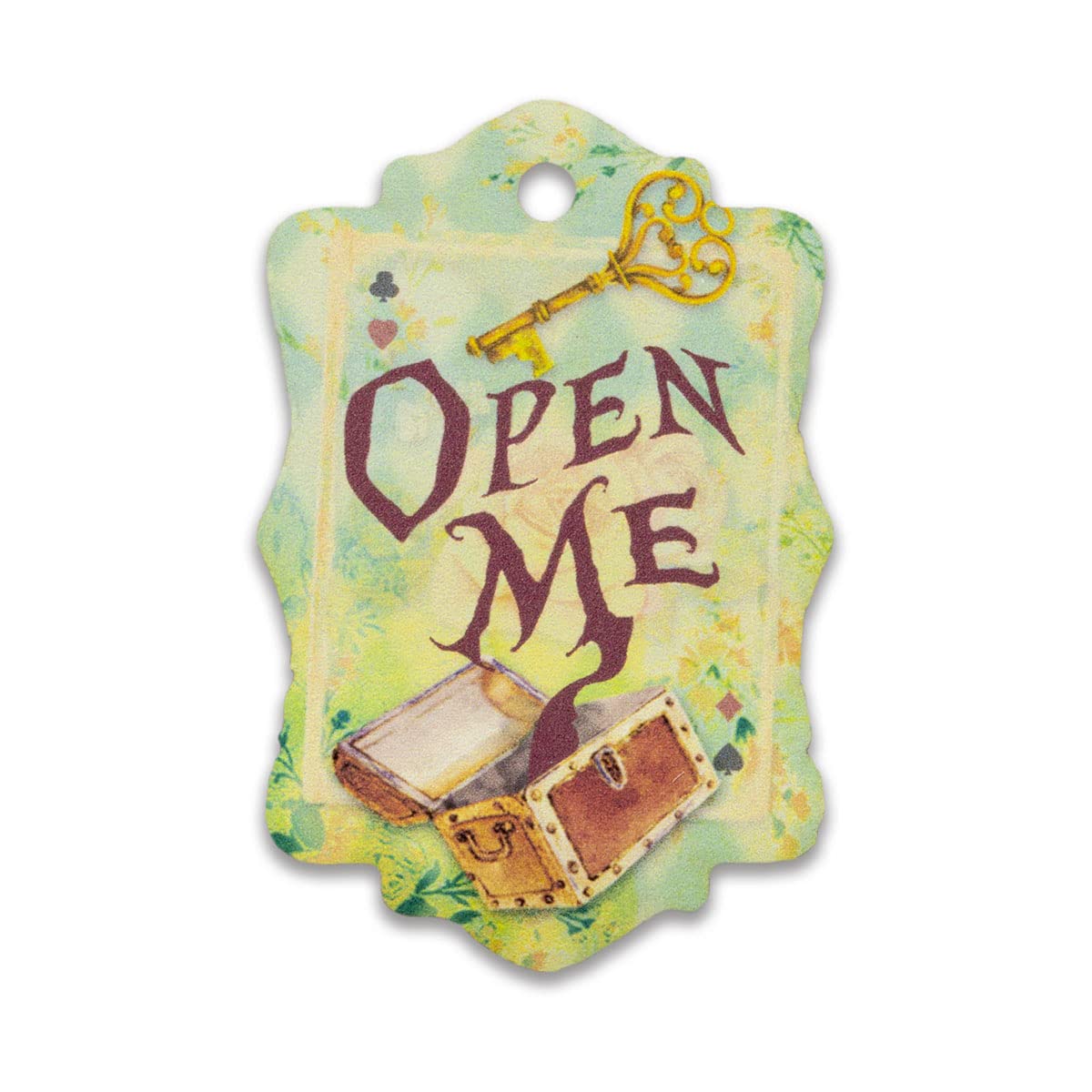 Summer-Ray 50pcs Alice in the Wonderland Theme Gift Tags Favour Tags (Open Me)