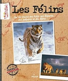 Les  félins