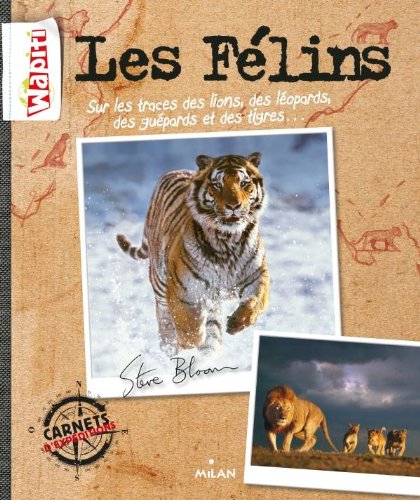 Les  félins