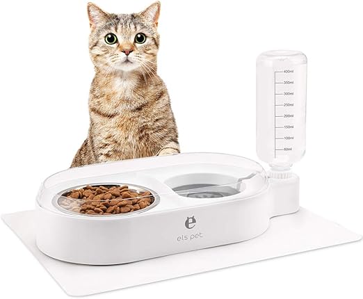 food and water dispenser for dogs