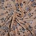 kiwitatá Pet Dog Blanket Puppy Cat Warm Coral Velvet Fleece Soft Dog Paw Print Blanket Beds Mat For Hamsters Guinea Pig