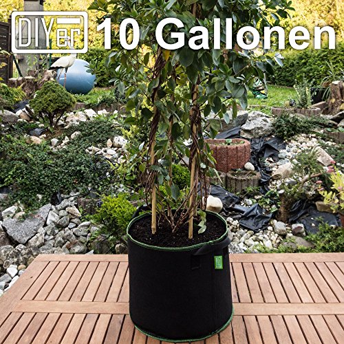 lohag® Premium Vliesstoff-Pflanzsack - 40 Liter, 5er Pack | Perfekt für Kräuter, Blumen, Gemüse & Zimmerpflanzen | Robuste, Wiederverwendbare Pflanzbeutel - Die Gesunde Alternative zum Blumentopf – Bild 4
