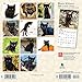 Black Kittens 2020 7 x 7 Inch Monthly Mini Wall Calendar, Animals Cats Kittens