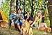 Beistle Premium 3-D Campfire Centerpiece (3-Pack) & Campfire Adventure Tablecover | Children's Reusable Party Decoration | Camping, Western Party, Cowboys & Indians and More
