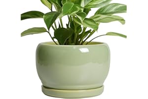 SQOWL 8 Inch Plant Pot - Ceramic Planters with Drainage Hole and Tray, Round Flower Pot for Indoor Plants, Modern Decorative 
