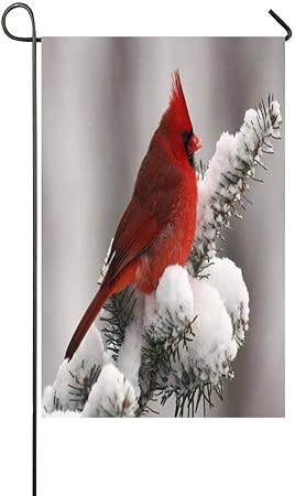 Amazon Com Jagfhhs Merry Christmas Tree Birds Christmas Cats