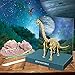 4M Kidz Labs Dig A Dino Skeleton Brachiosaurus