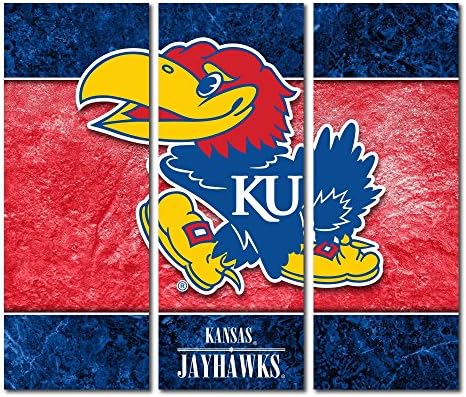 新作製品 世界最高品質人気 100 品質保証 B01mr0rte8 家電 カメラ Pcソフト カンザスジェイホークスキャンバス壁アートtriptych二重枠デザイン おもちゃ 激安超特価 正規品送料無料