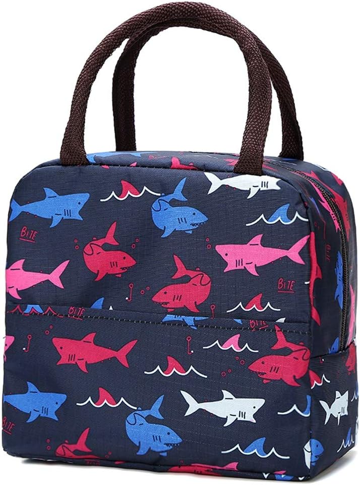 SHINEHUA Insulated Lunch Bag Tote Bag for Women Lunch Bag for Adults Lunch Bag for Kids Picnic Bags Lunch Cooler Bag for Men Lunch Box Tote