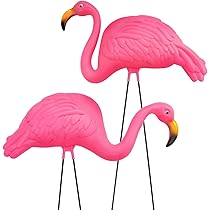 flamingo♡ 61X0AJpELkL._UF894,1000_QL80_.jpg
