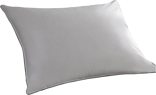 Amazon Com Pacific Coast Feather Company 26209 Down Around Down