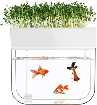 Amazon Co Jp アクアポニック水槽 水耕栽培システム 有機セルフ給水プランター アクアポニックス小型水槽 ウォーターハーブガーデン スポーツ アウトドア