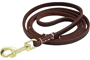 NORDKAWA Leather Dog Leash 6 ft x2/5" Durable Braided Dog Training Leash, Strong Heavy Duty Leather Leash, Soft and Comfortable Genuine Leather Dog Leashes for Large Medium Small Dogs (Brown)