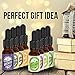 8 Pack Essential Oil Set with Dropper [RELAXING SCENT] - Glass Amber Bottle Organic Pure Therapeutic French for Diffuser, Aromatherapy, Headache, Pain, Sleep-Perfect For Candles Massage 10ml (0.33oz)