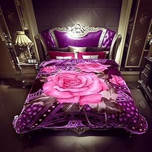 Amazon.com: Solaron Queen Peacock Korean Mink Blanket ...