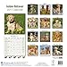 Golden Retriever Calendar 2017 - Dog Breed Calendars - 2016 - 2017 wall calendars - 16 Month by Avonside