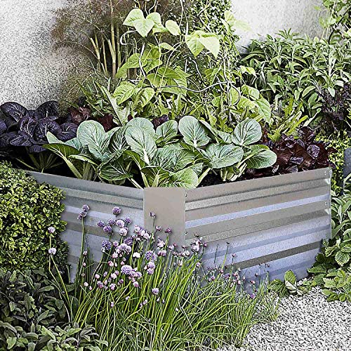 Galvanized Raised Garden Beds for Vegetables Metal Planter Boxes Outdoor Flower Bed Kit Steel Patio 3x3x1FT - Thumbnail 6