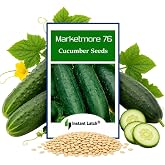 50 Marketmore 76 Cucumber Seeds | Non-GMO | Heirloom | Instant Latch Garden Seeds