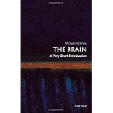 The Brain: A Very Short Introduction