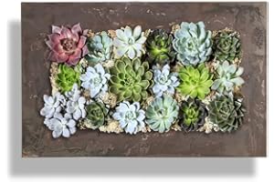 VANDUE Modern Home Living Wall Galvanized Steel/Zinc Succulent Planter, Wall Mounted Garden Pocket Planter (Horizontal 18 Pocket, Rust Zinc)