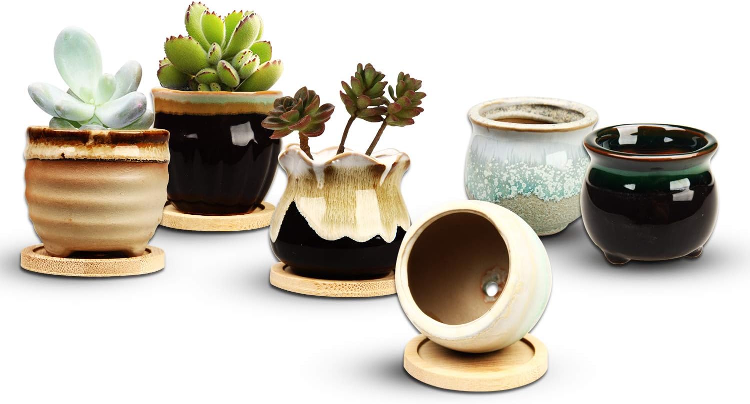 Brajttt 2.5 Inch Ceramic Succulent Planter Pot with Drainage, Planting Pot Flower Pots, Small Planter Pots for Mini Plant Ceramic Flowing Glaze Base Serial Set with Holes : Garden & Outdoor